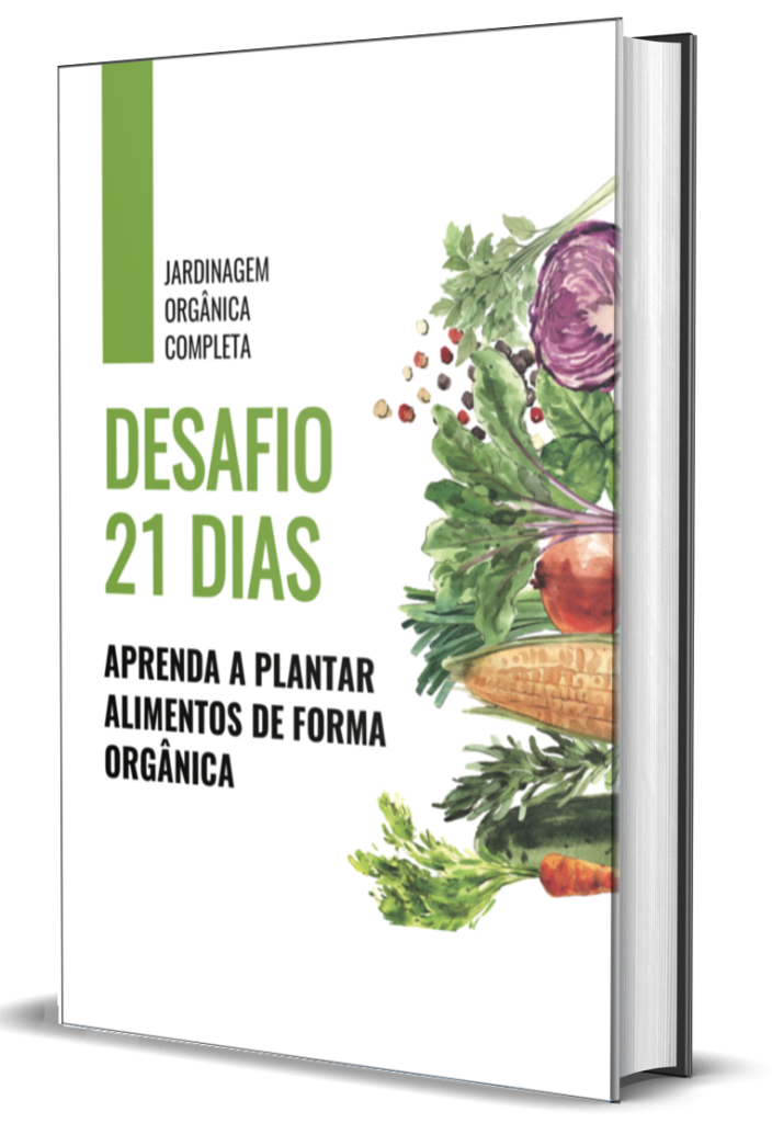 Aprenda A Plantar Alimentos De Maneira Orgânica | Tenha Alimentos Puro O Ano Inteiro.